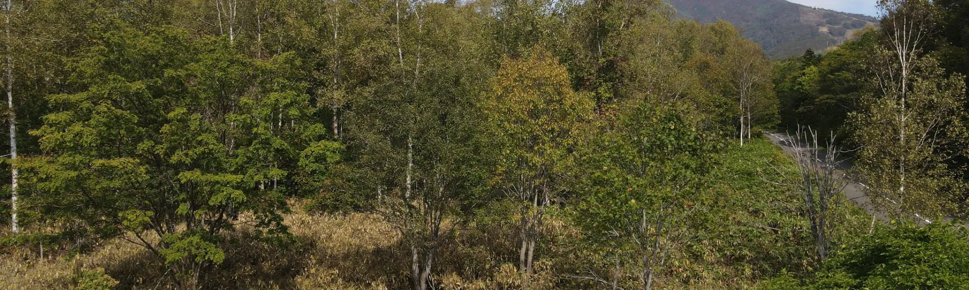 RT Corner potential 2nd floor views (1)