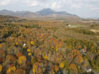 387484466_856300959535738_1067941279098858654_n