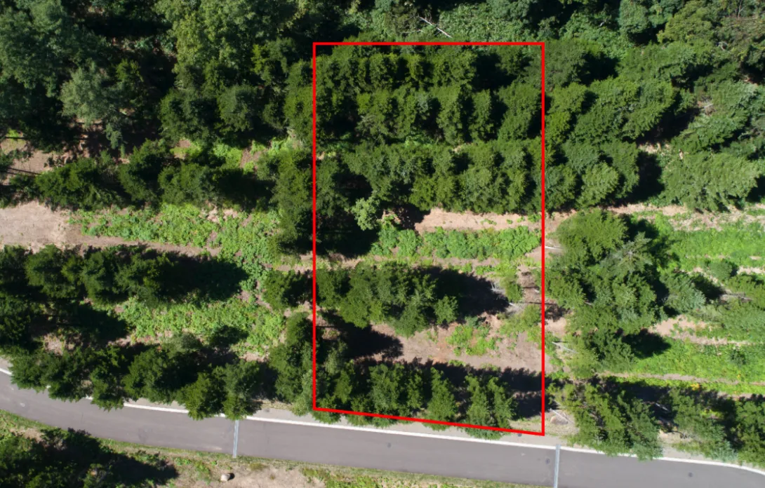 Screen Shot 2022-11-28 at 11.32.08 AM